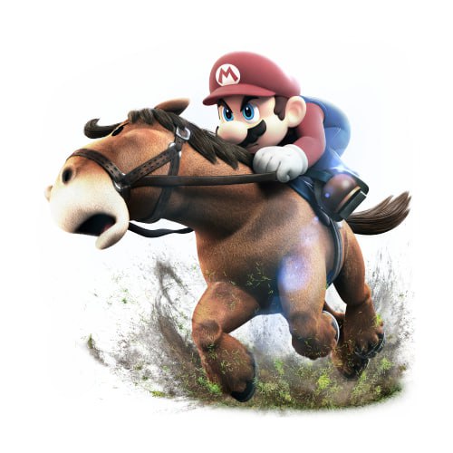 photo_2024-01-31 08.58.23.jpeg